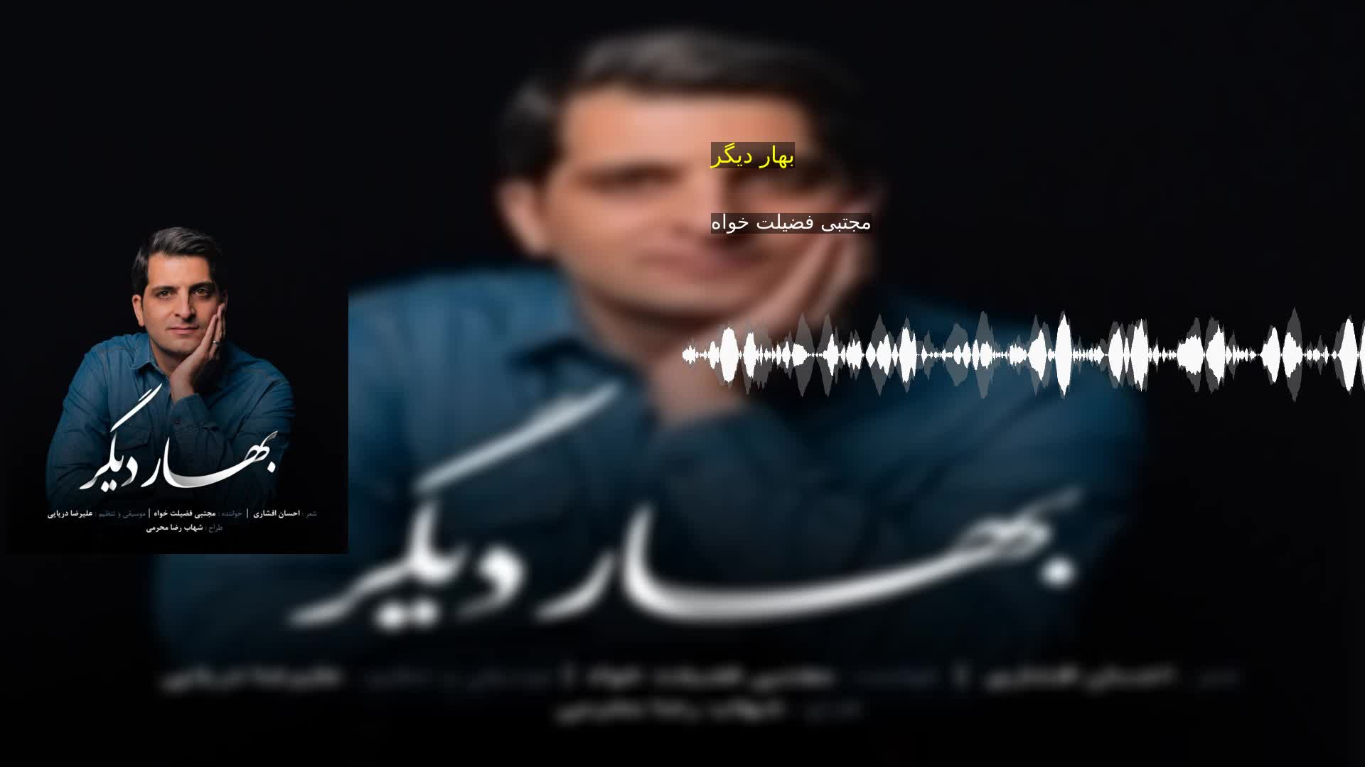 دانلود بهار دیگر مجتبی فضیلت خواه