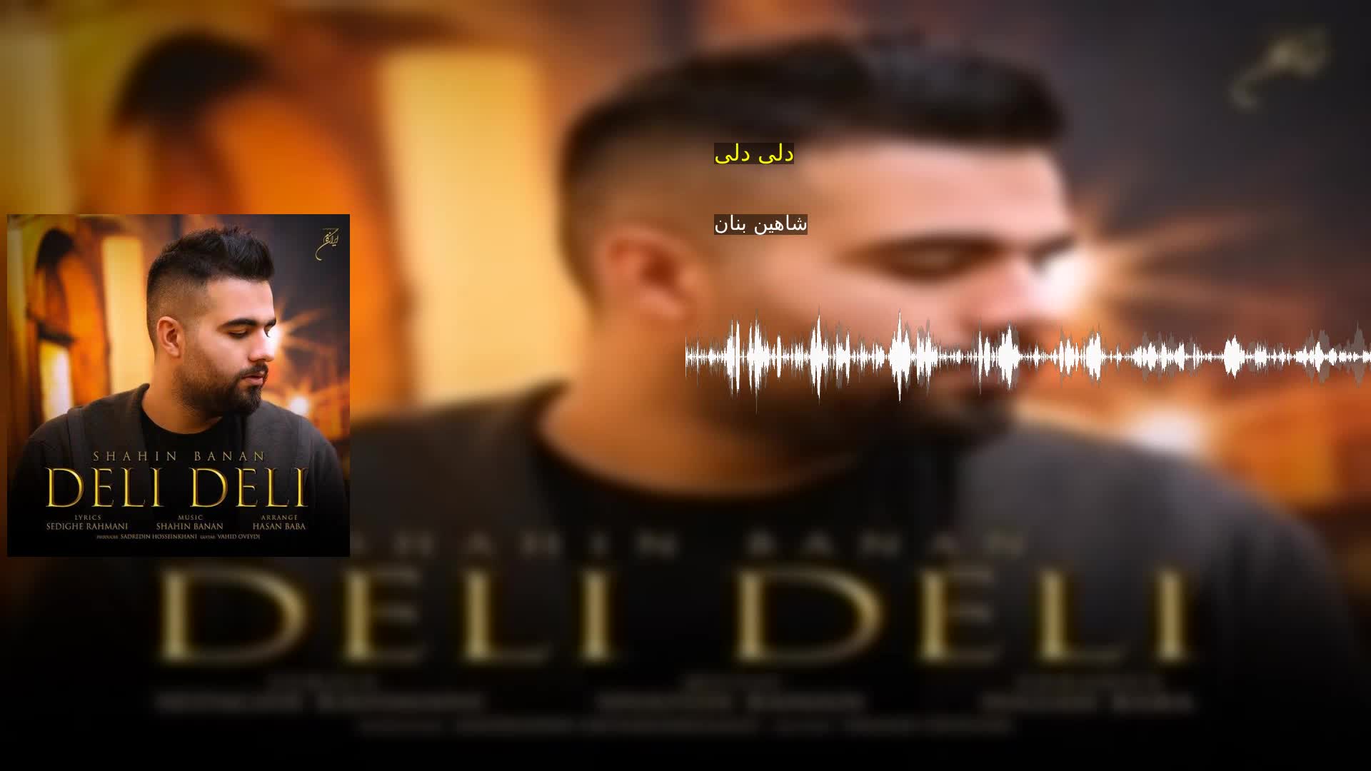 دانلود دلی دلی شاهین بنان