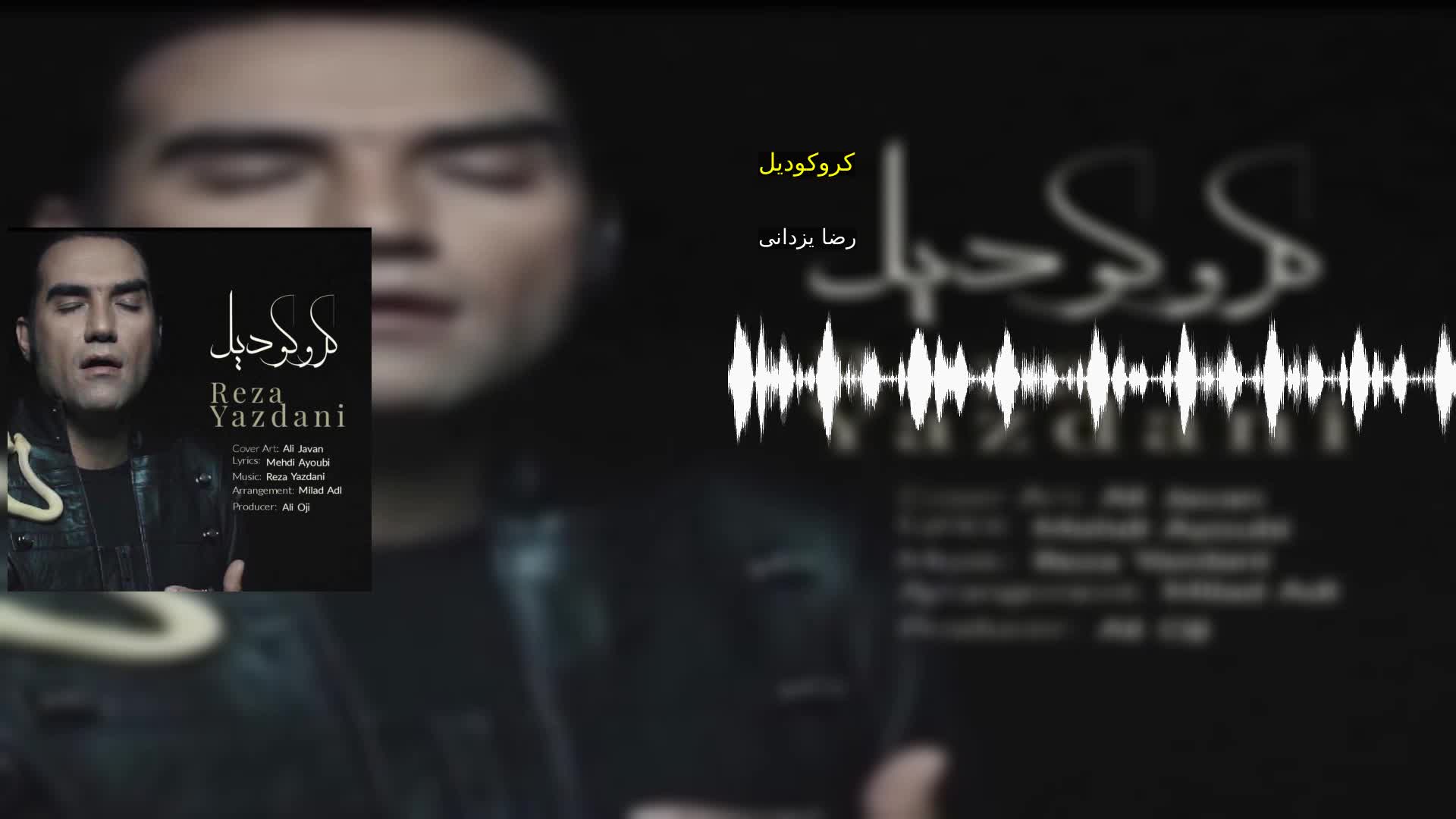 کروکودیل رضا یزدانی