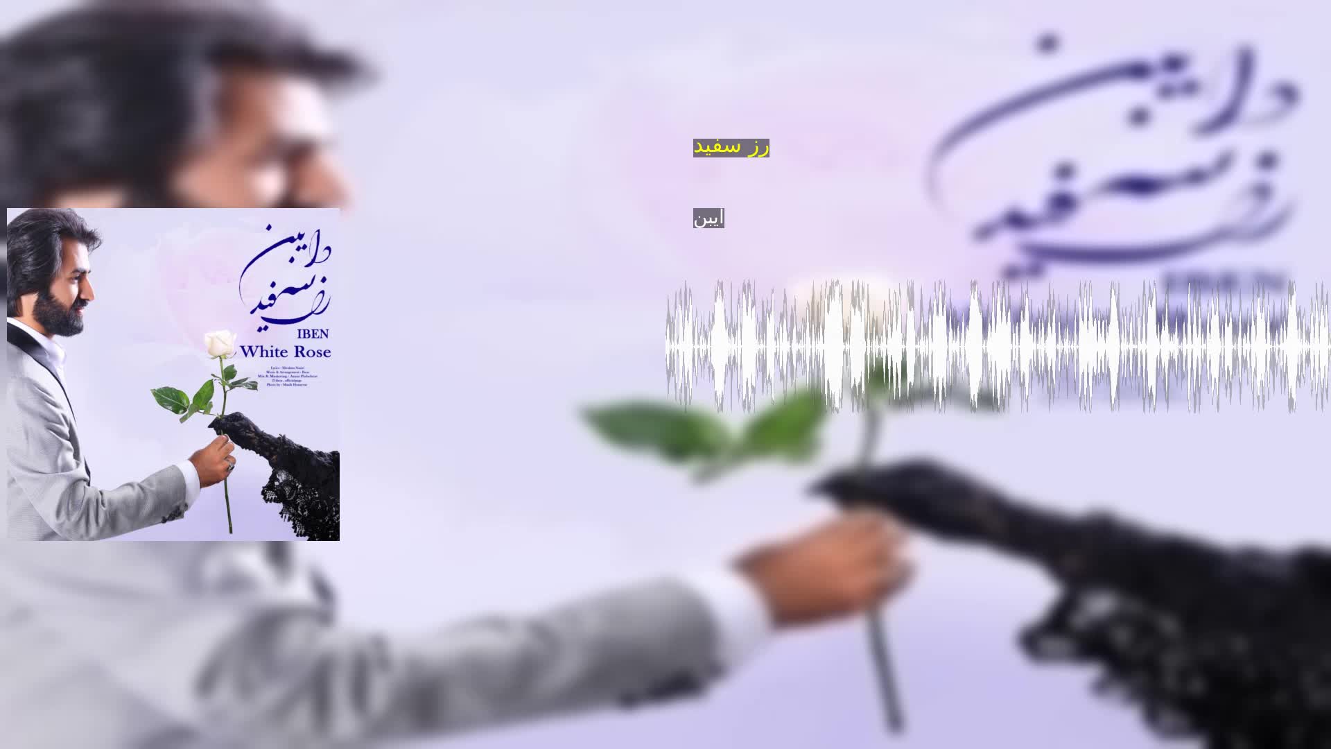 دانلود رز سفید ایبن