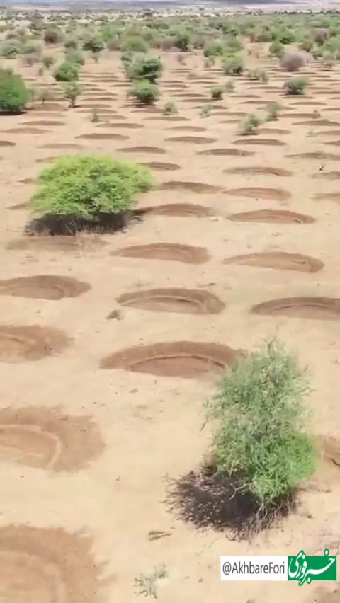   تکنیک جالب و سنتی مردم آروشای برای  احیای زمین‌های خشک