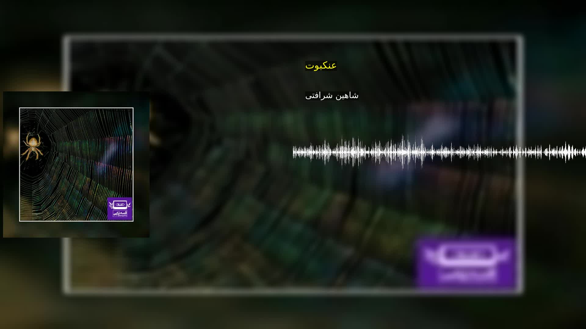 عنکبوت شاهین شرافتی
