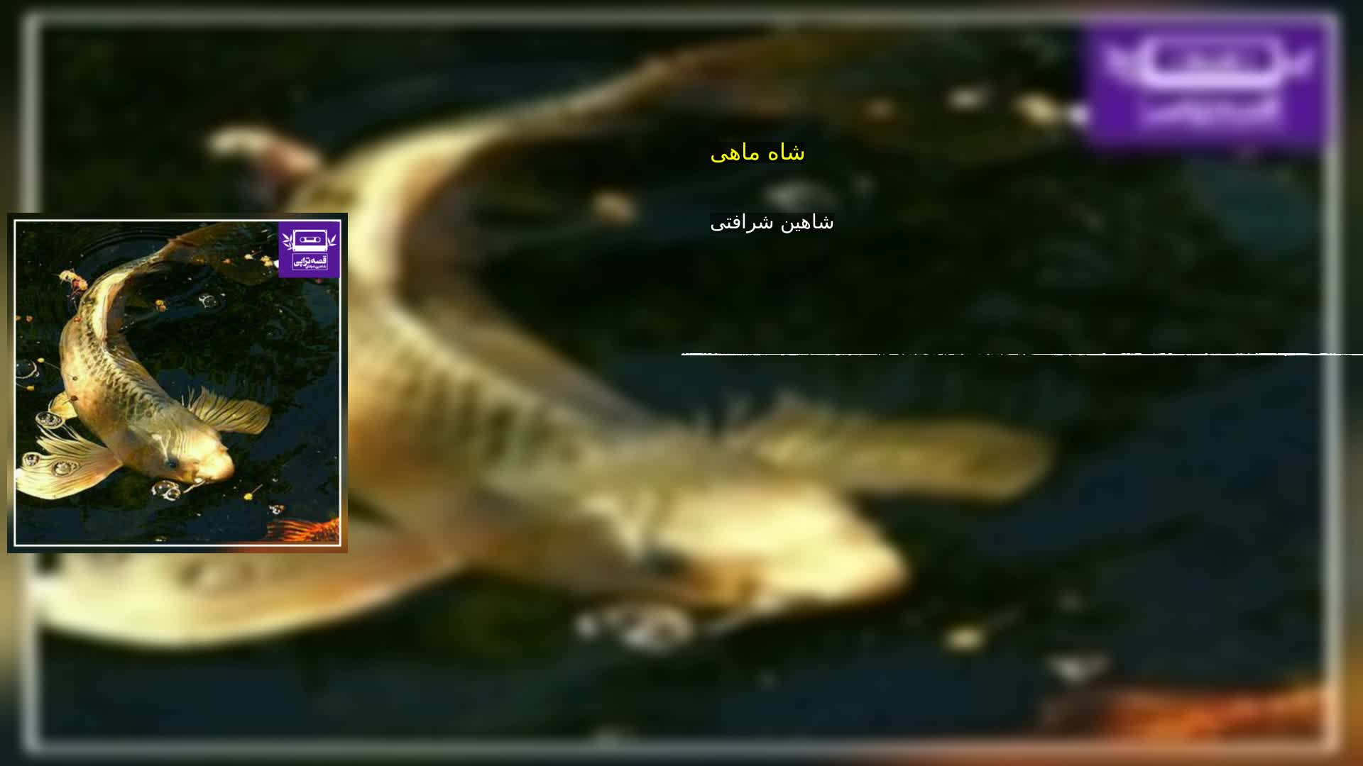 دانلود شاه ماهی شاهین شرافتی