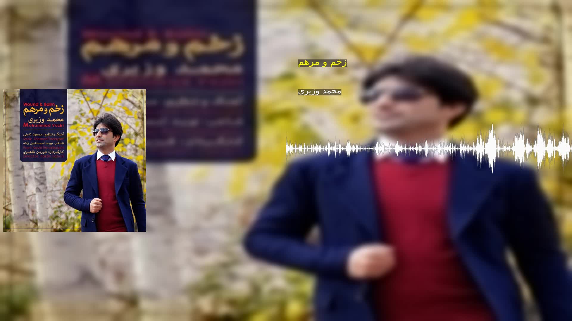 زخم و مرهم محمد وزیری