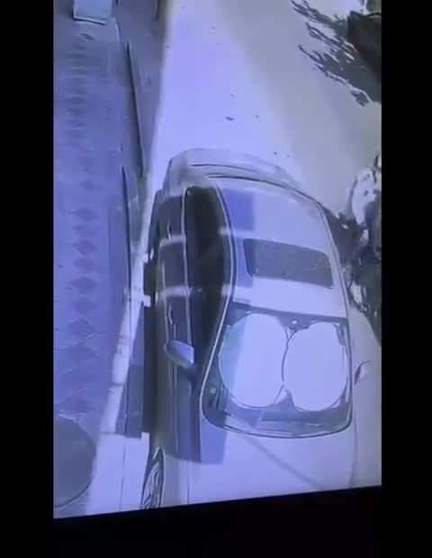   لحظه سرقت گوشی موبایل در خیابان شیراز جنوبی تهران