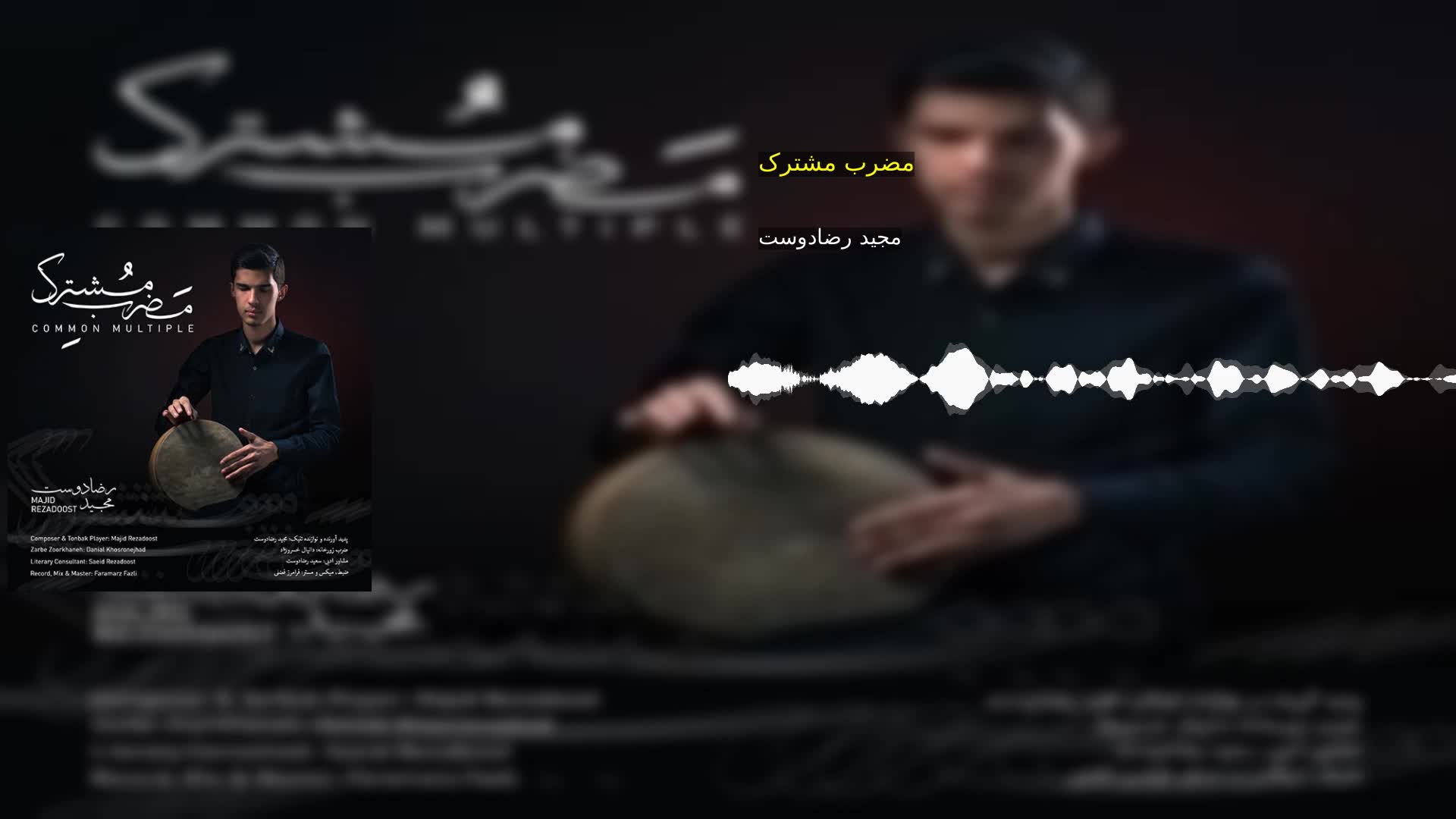 مضرب مشترک مجید رضادوست
