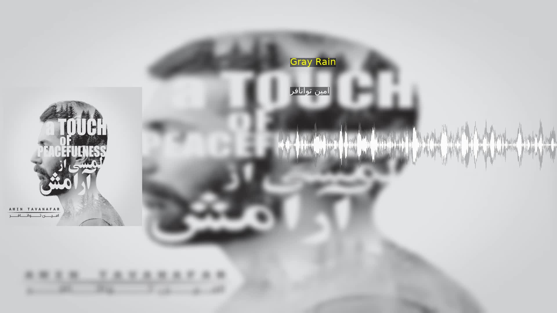 Gray Rain امین توانافر
