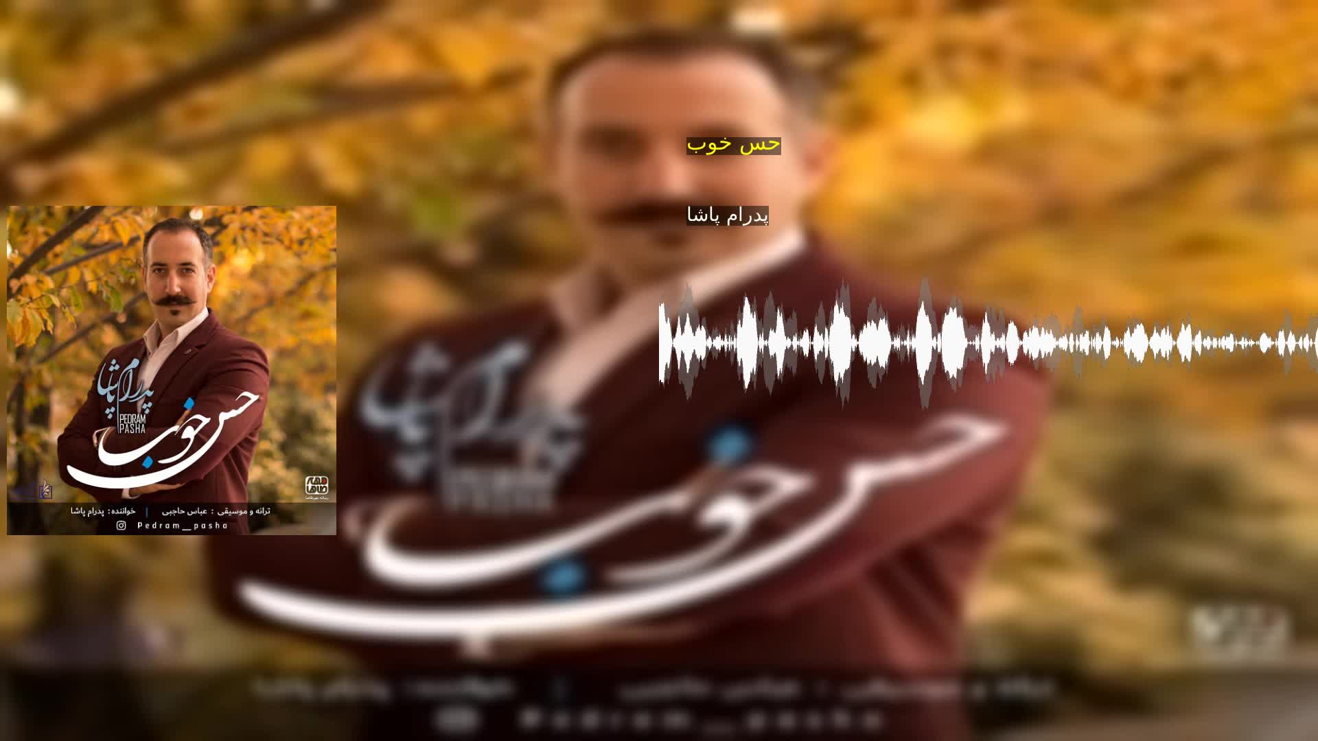 حس خوب پدرام پاشا