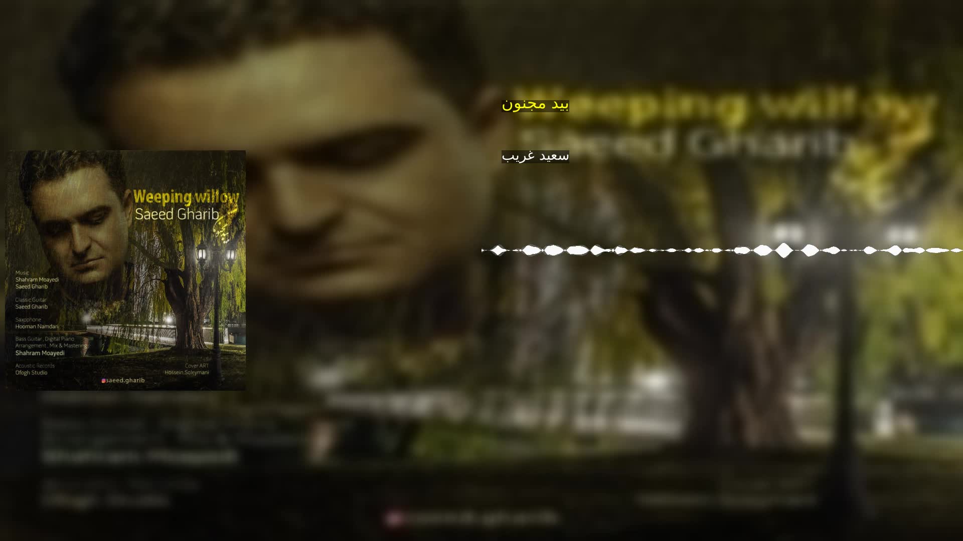 دانلود بید مجنون سعید غریب