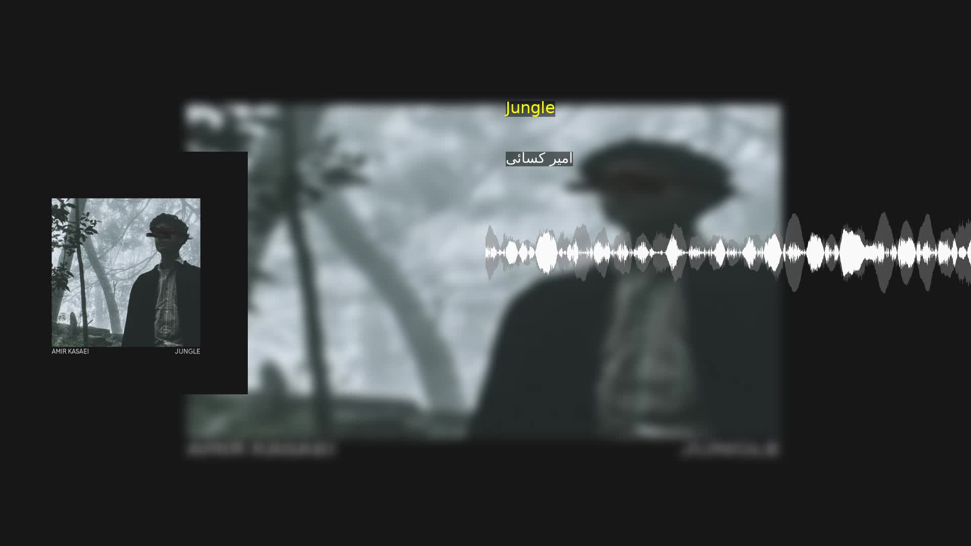 دانلود Jungle امیر کسائی
