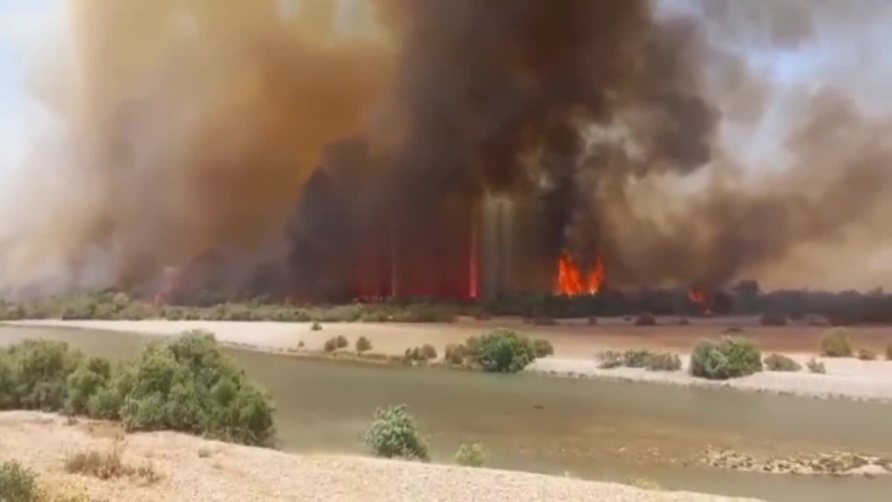   آتش‌سوزی گسترده در پارک ملی دز خوزستان