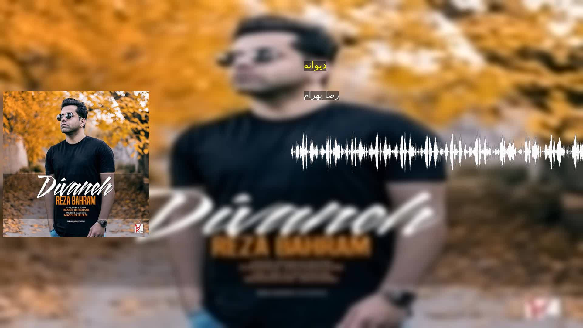 دیوانه رضا بهرام