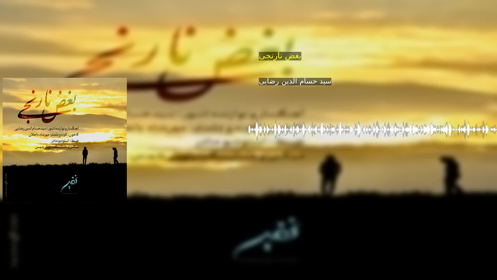 بغض نارنجی سید حسام الدین رضایی