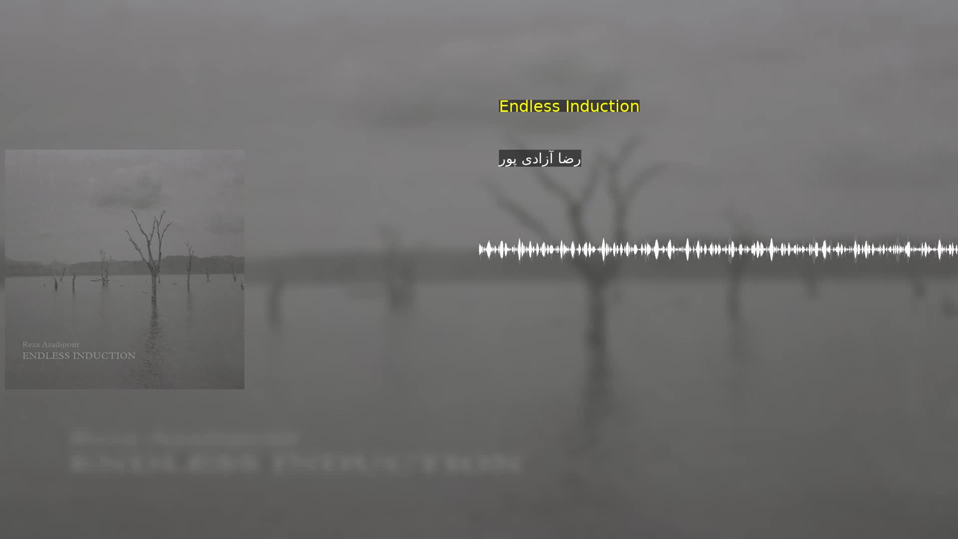 Endless Induction رضا آزادی پور