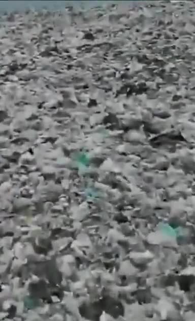   هشدار چند ماه پیش استاندار گیلان در مورد یک فاجعه!