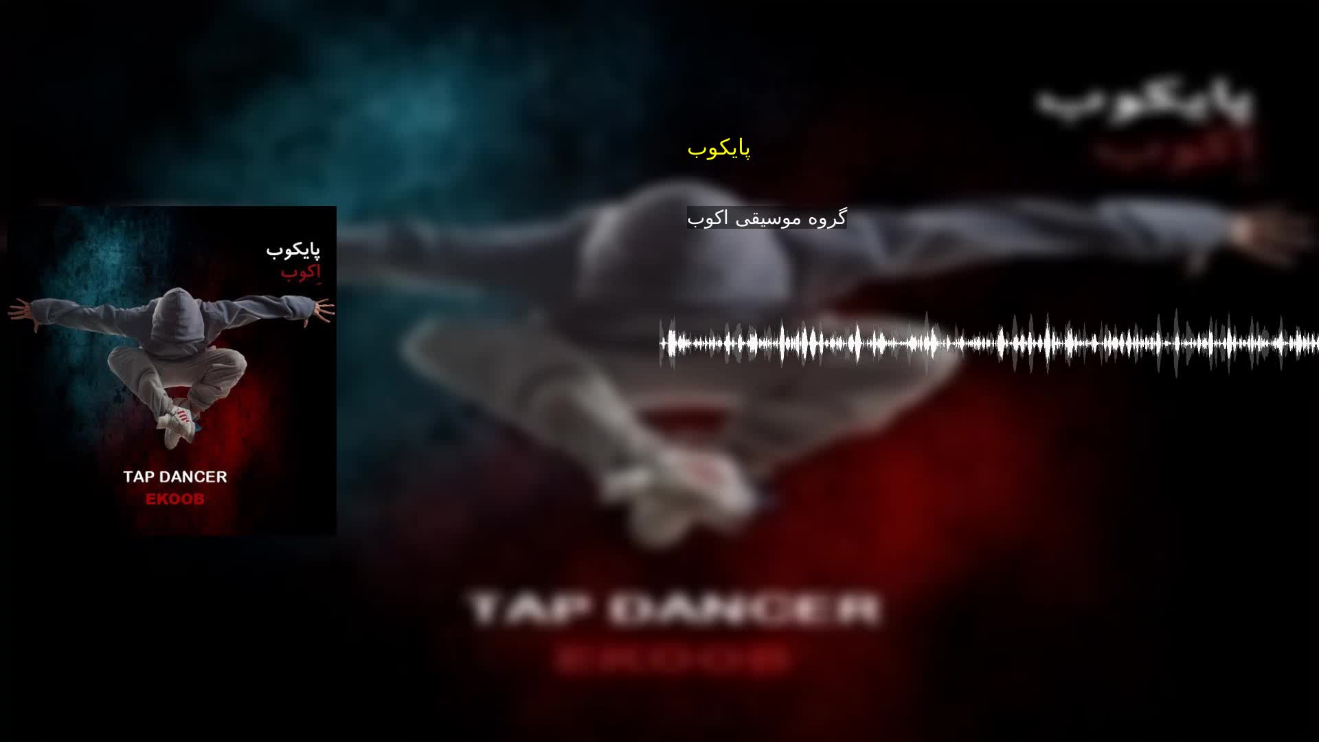 پایکوب گروه موسیقی اکوب