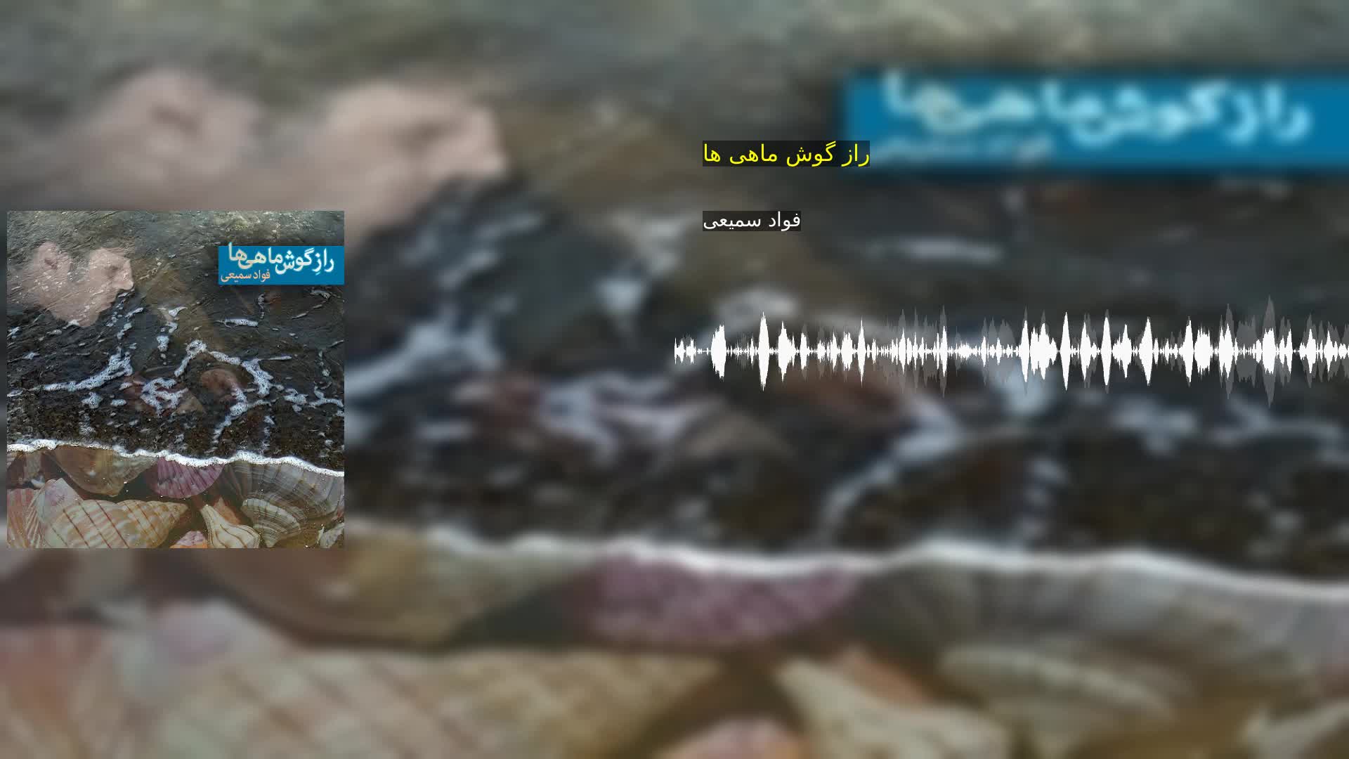 راز گوش ماهی ها فواد سمیعی