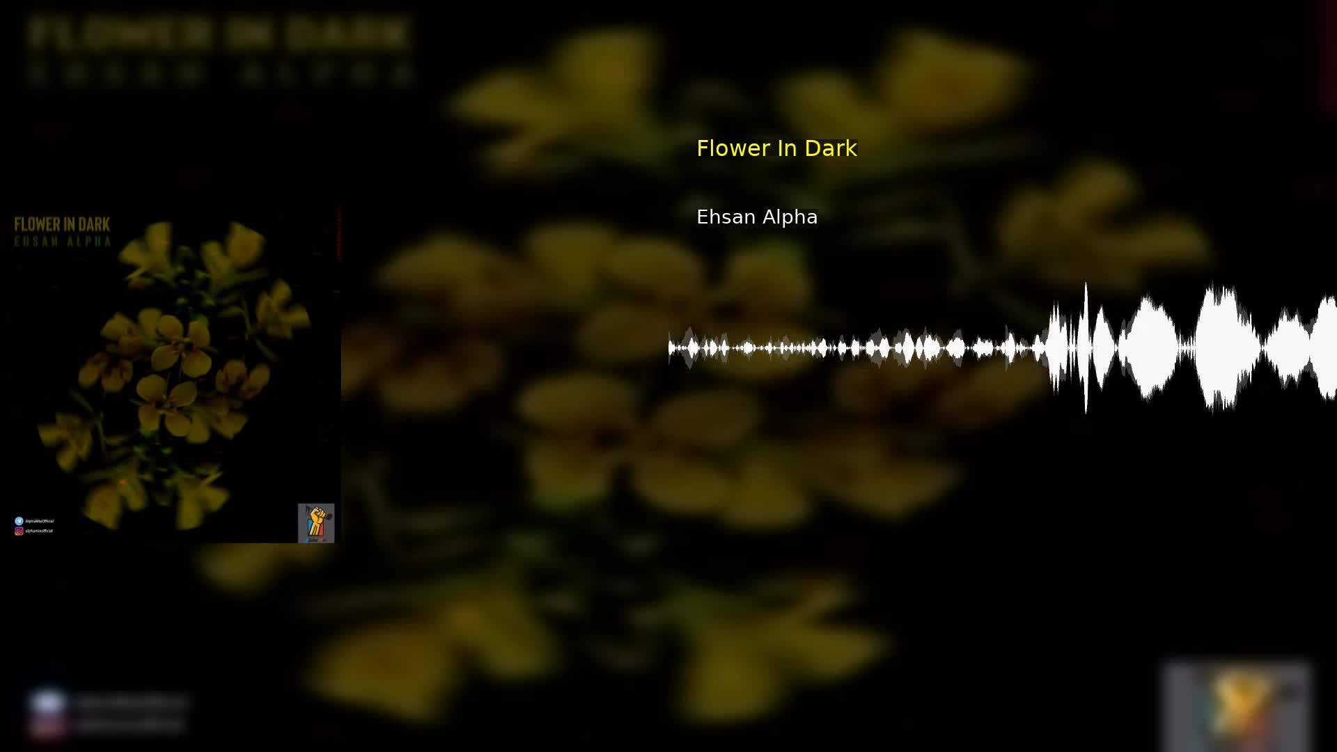 Flower In Dark Ehsan Alpha