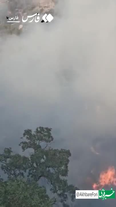   آتش به جان جنگل‌های بلوط کوه‌ چنار افتاد
