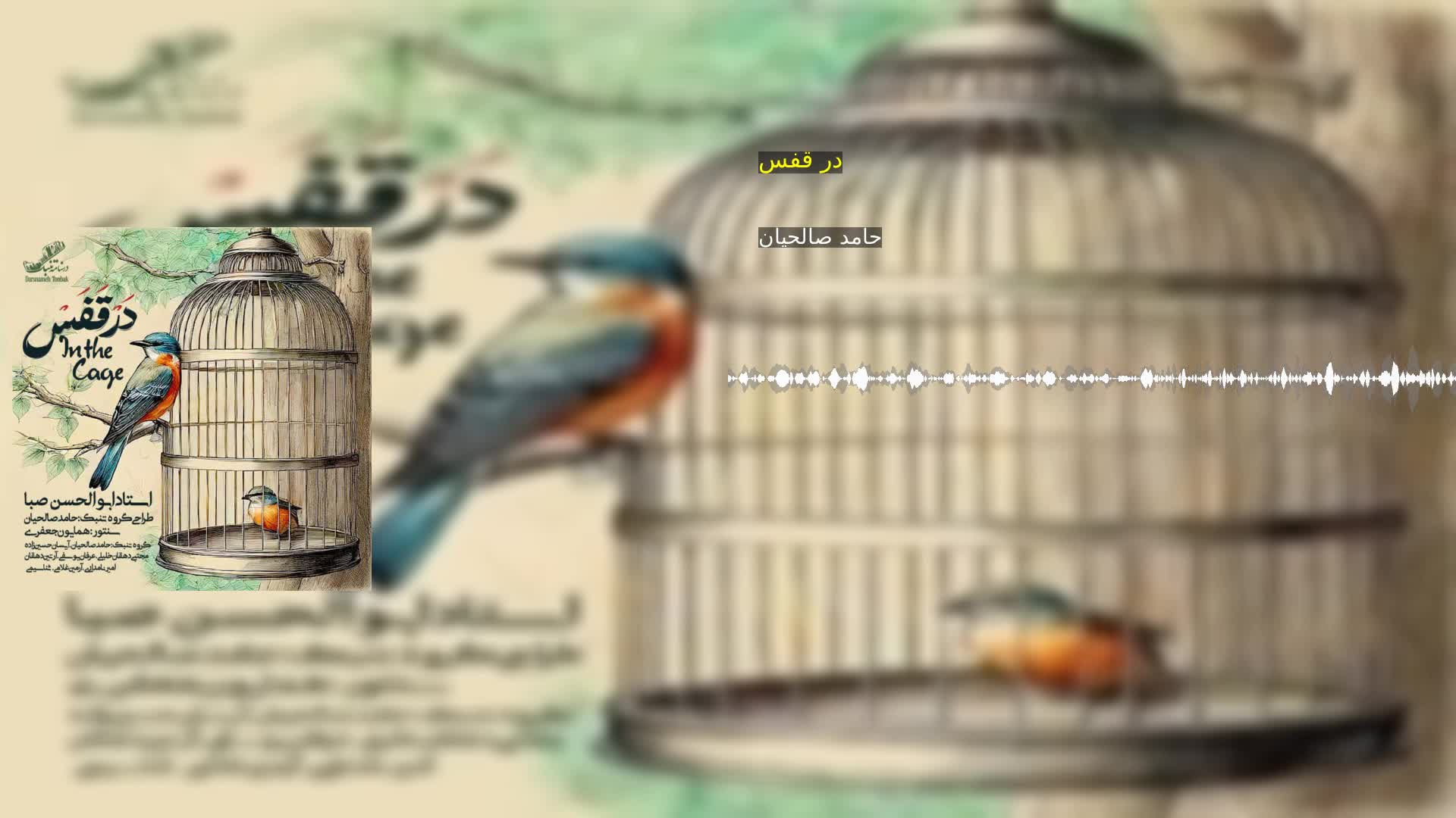 در قفس