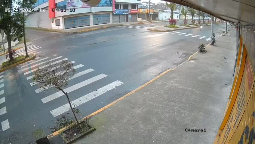   مبارزه جانانه و تن‌به‌تن یک شهروند با سارقین وسط خیابان؛ دزدها چگونه از صحنه پا به فرار گذاشتند؟