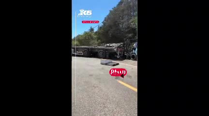   رها شدن ۲۵۰ میلیون زنبور در واشنگتن!