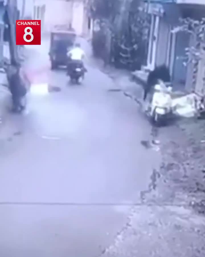   سرقت یک موتور توسط یک گاو در هند!