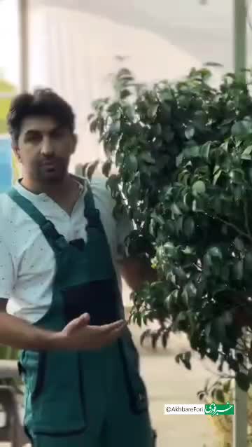   هر کدام از کودها چه کاربردی در استفاده برای گیاه دارد؟