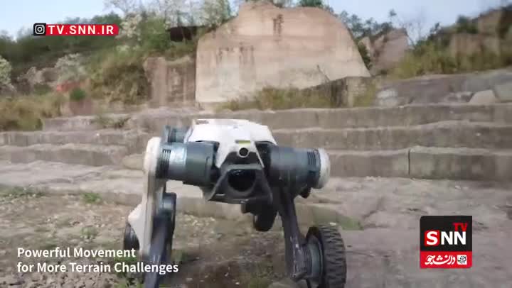   ربات چینی در دریا شنا و میان شن‌های صحرا تردد می‌کند!