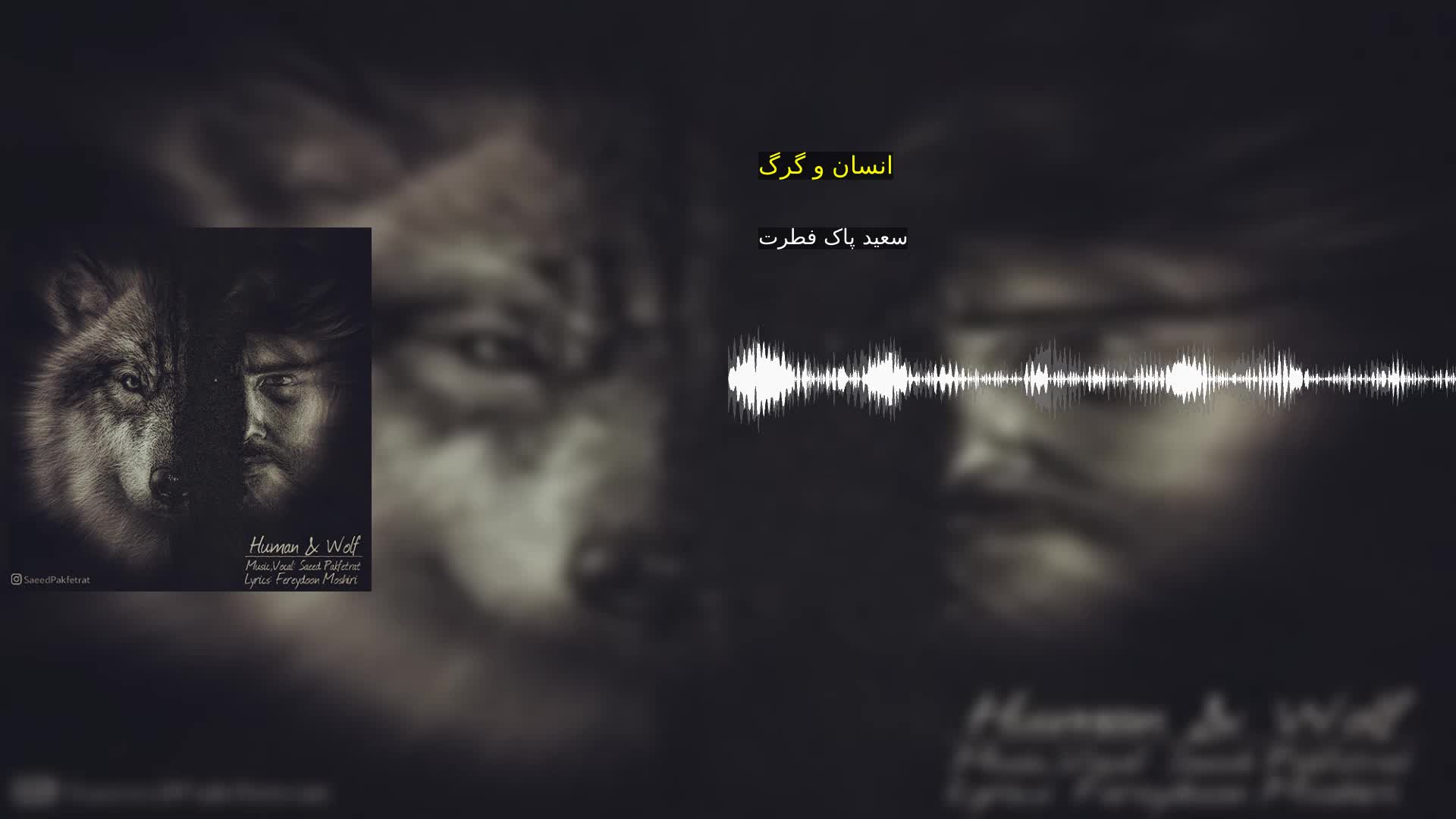 دانلود انسان و گرگ سعید پاک فطرت