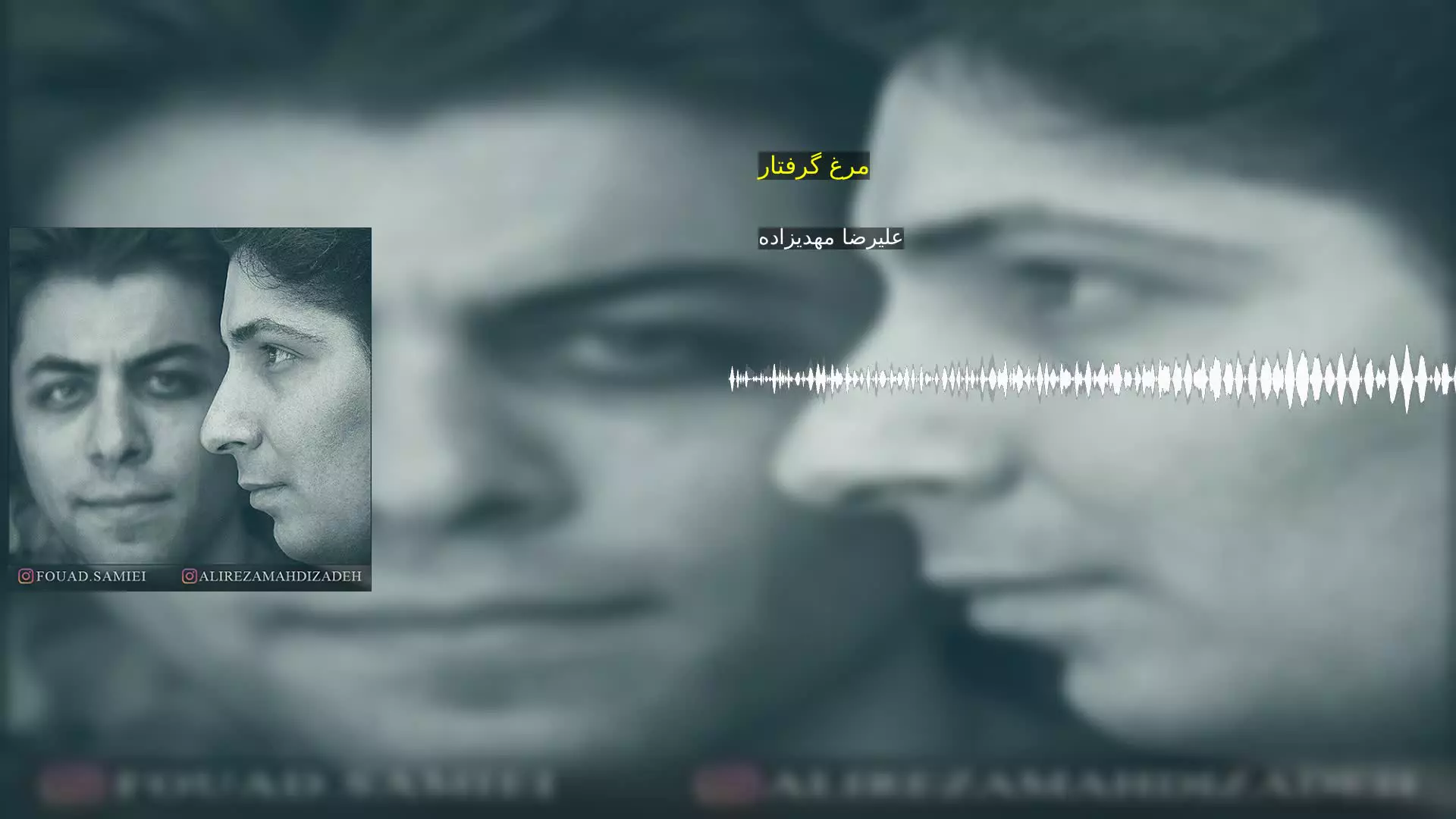 مرغ گرفتار علیرضا مهدیزاده