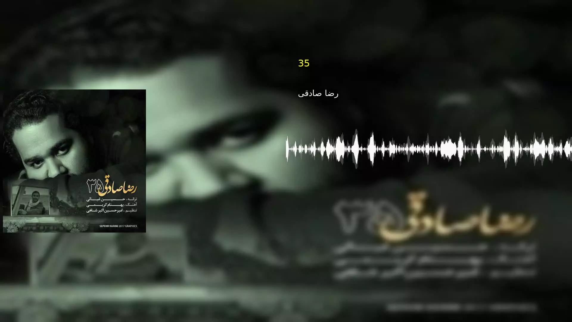35 رضا صادقی