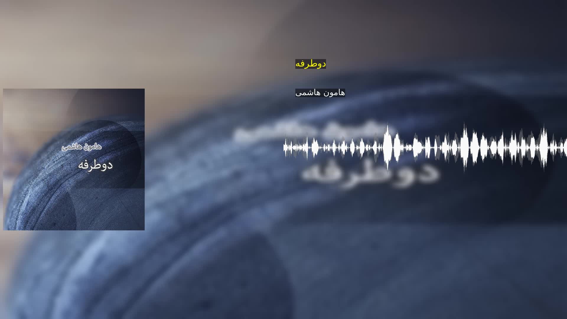 دانلود دوطرفه هامون هاشمی