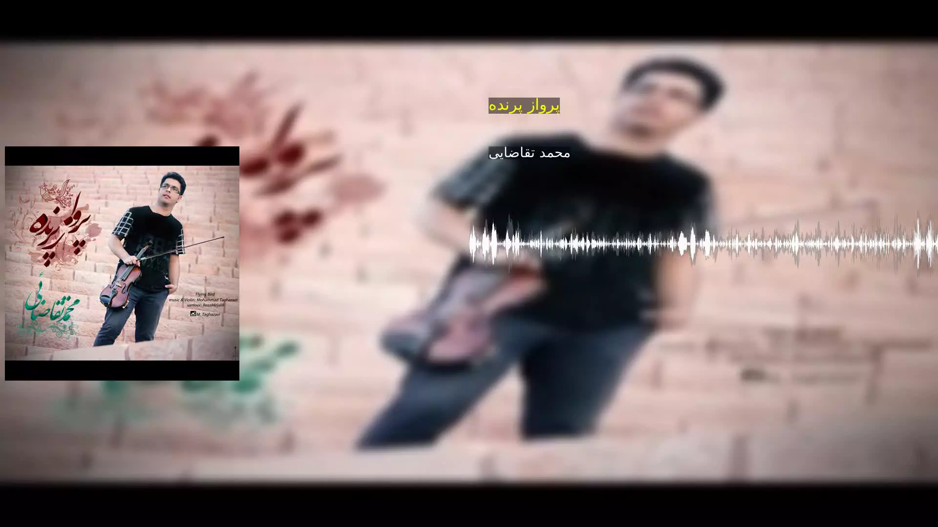 پرواز پرنده محمد تقاضایی