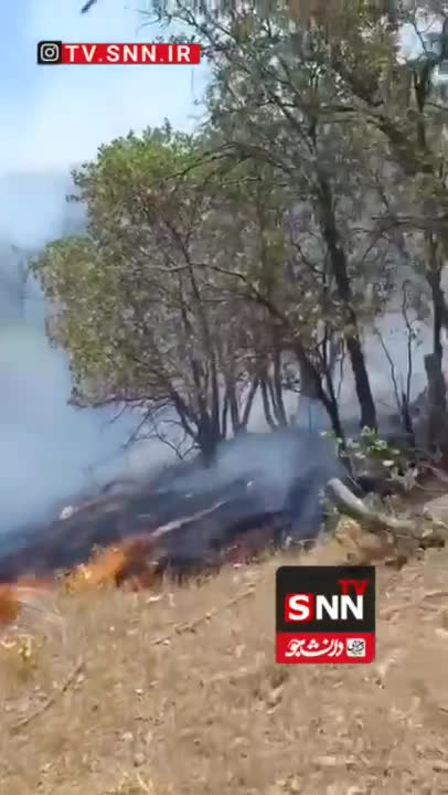   آتش‌سوزی عمدی و مغرضانه در منطقه سرابید مختار یاسوج