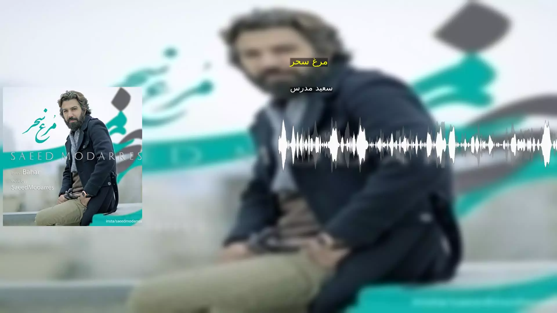 مرغ سحر سعید مدرس