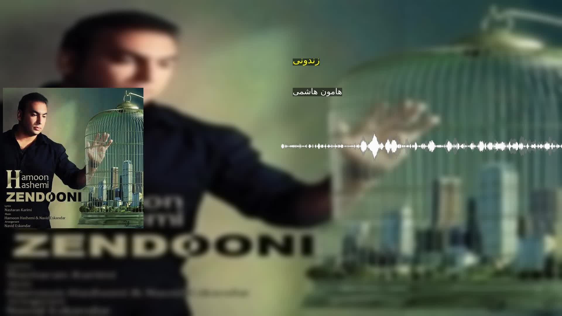 دانلود زندونی هامون هاشمی