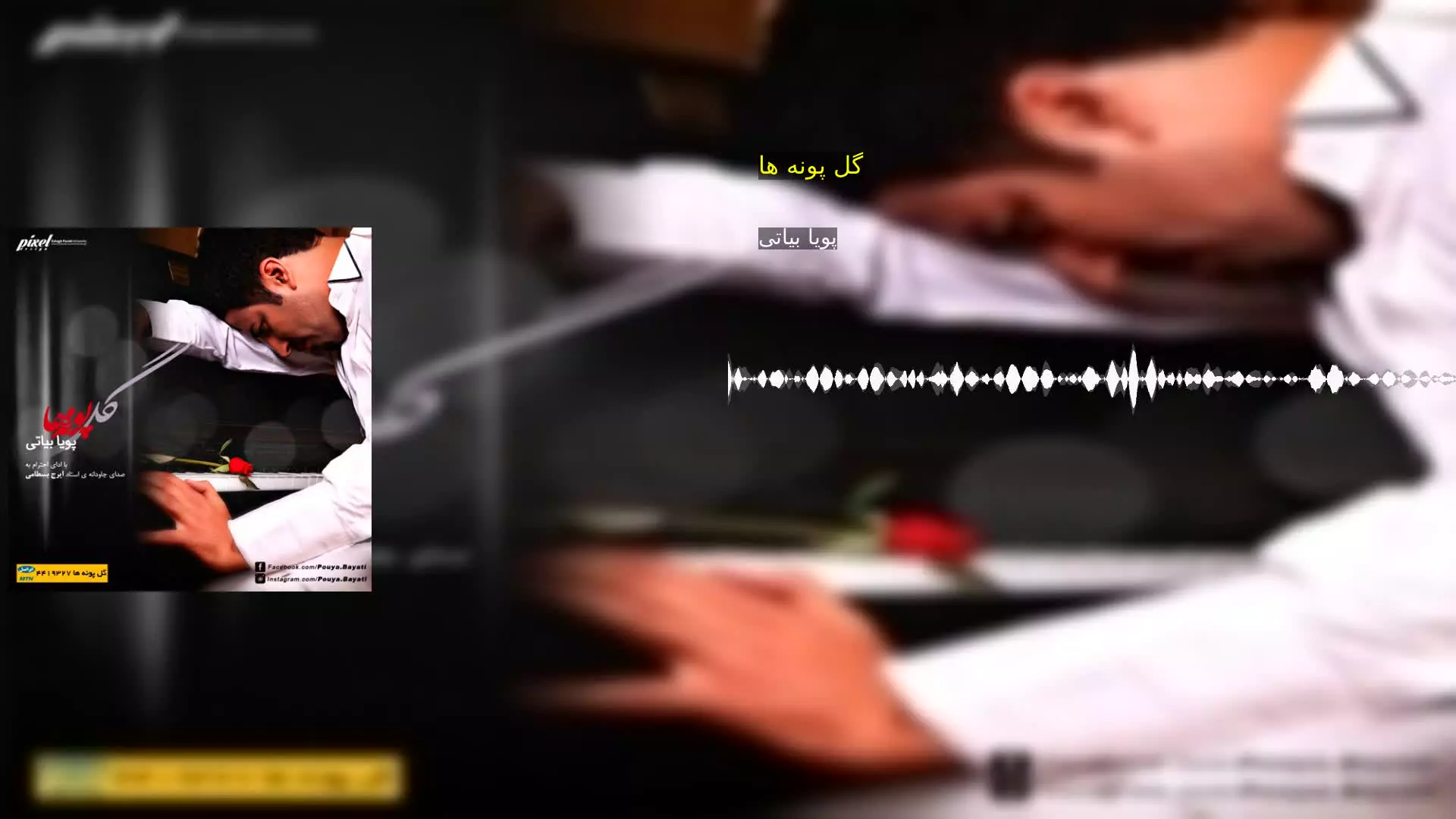 گل پونه ها پویا بیاتی