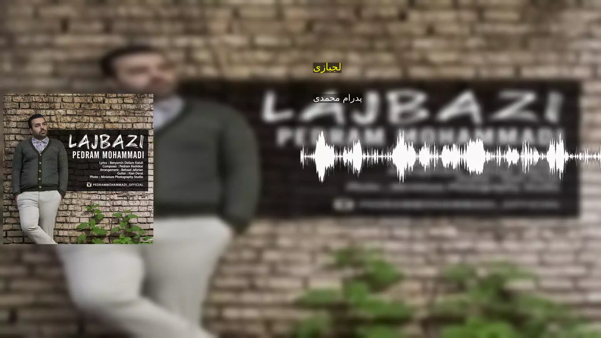 لجبازی پدرام محمدی