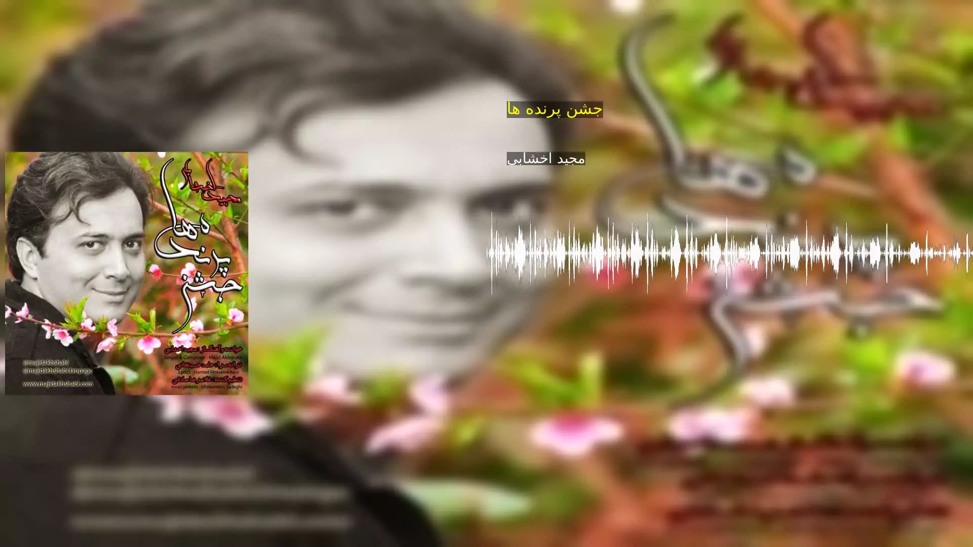 جشن پرنده ها مجید اخشابی