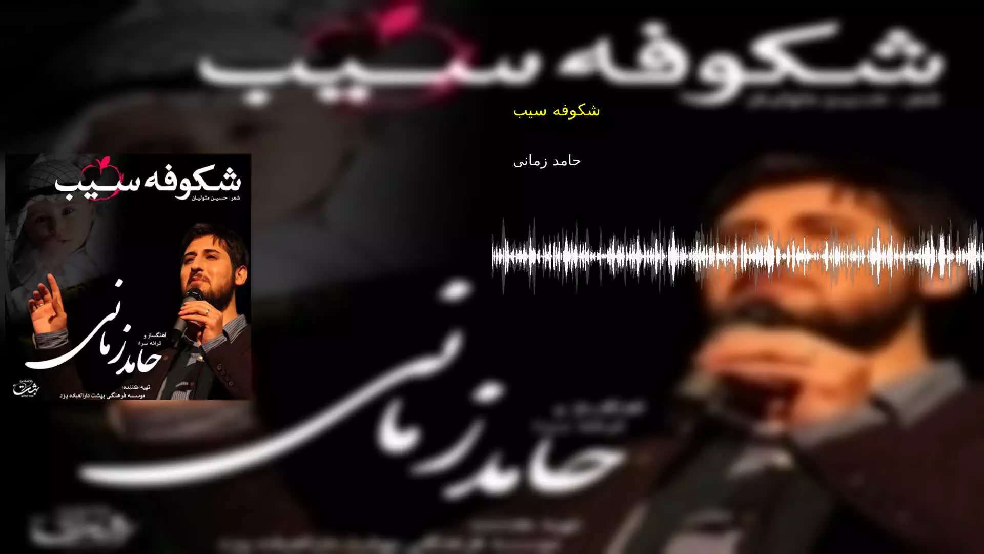 شکوفه سیب حامد زمانی