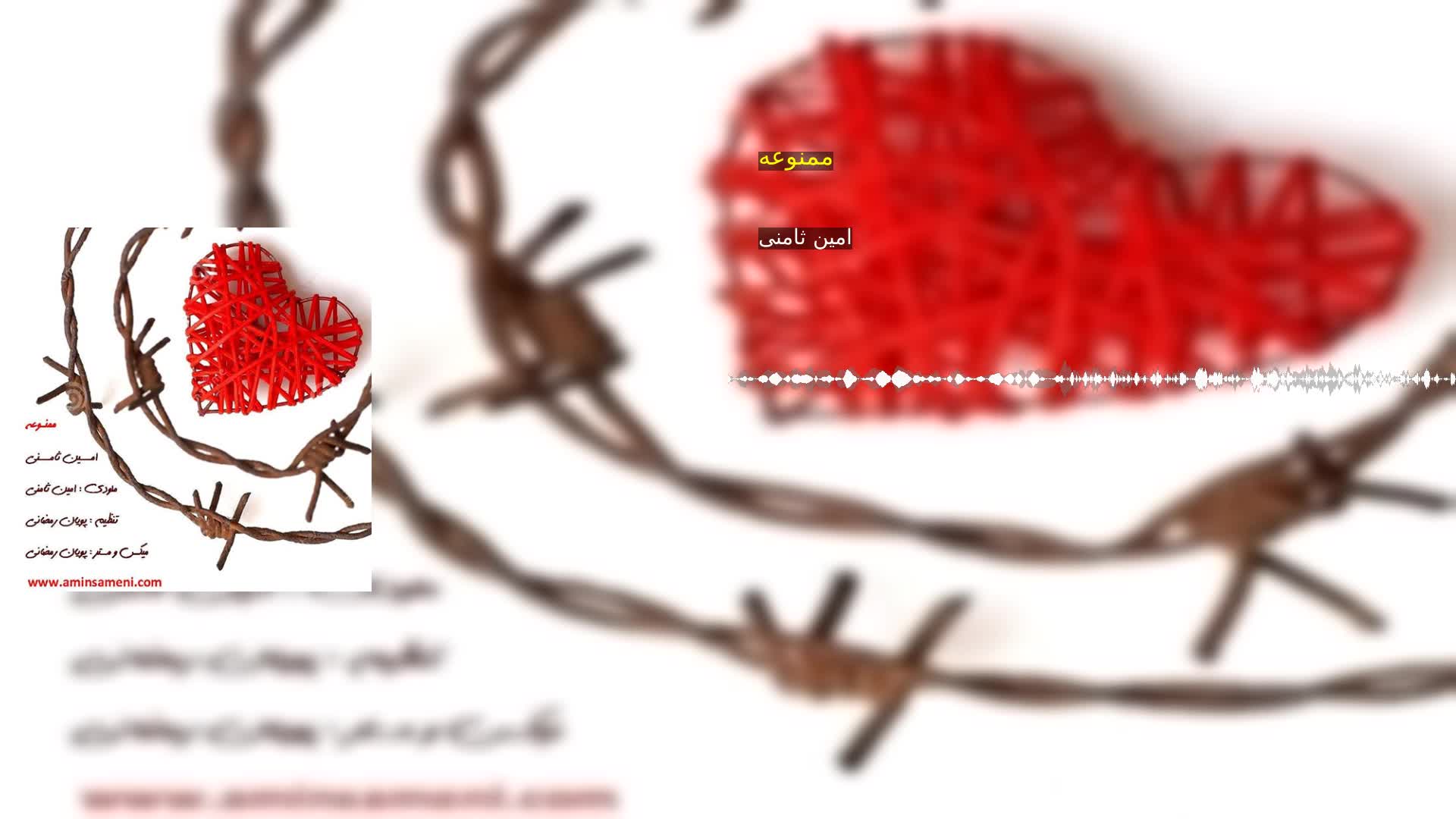 دانلود ممنوعه امین ثامنی