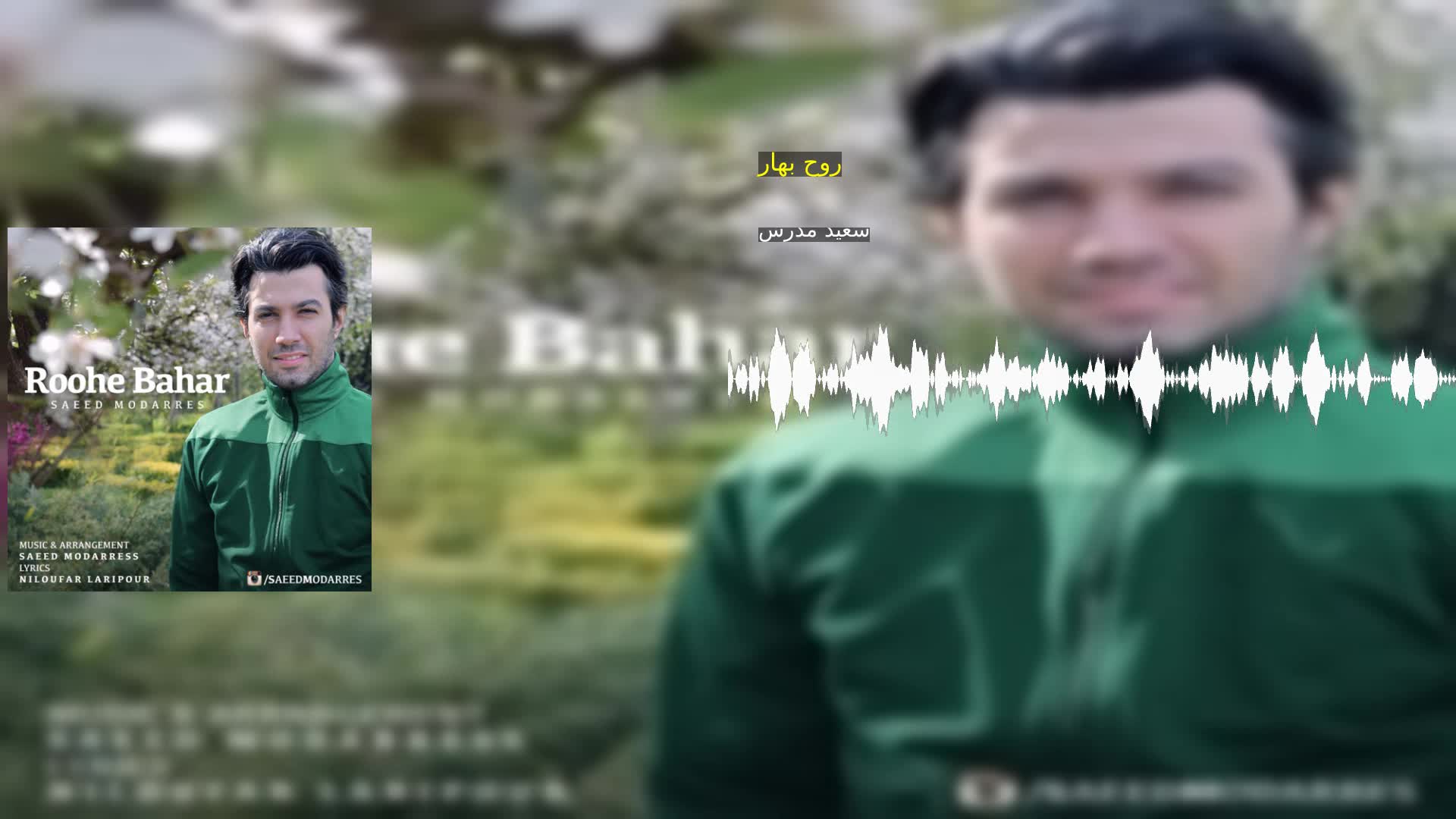 دانلود روح بهار سعید مدرس