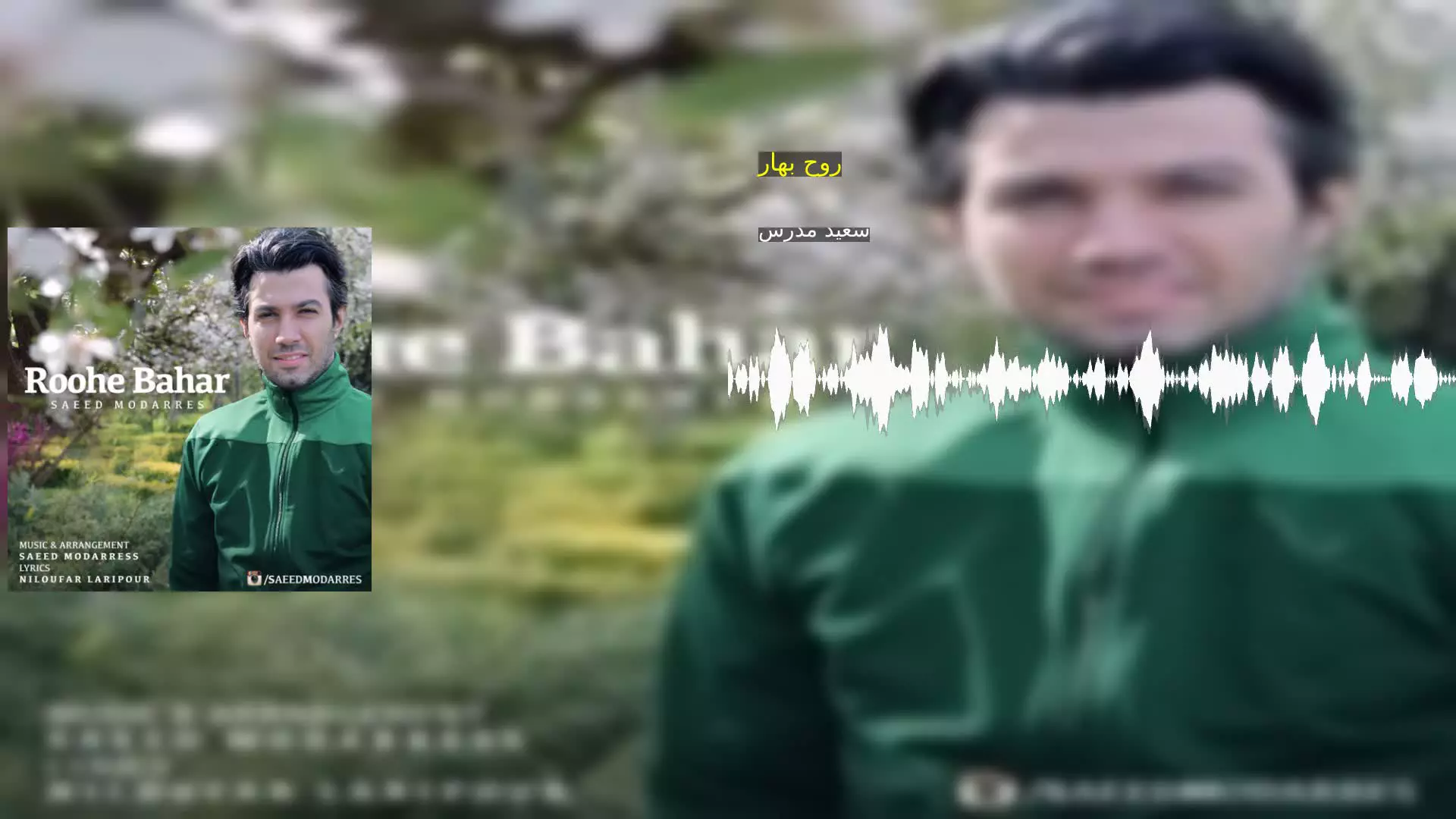 روح بهار سعید مدرس
