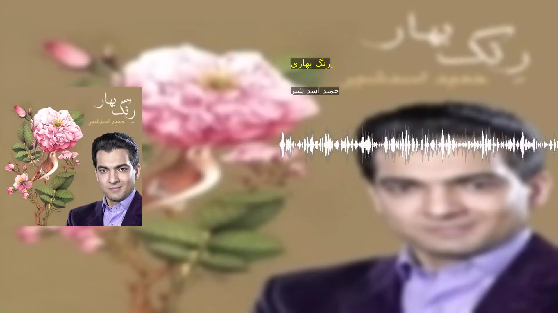رِنگ بهاری حمید اسد شیر