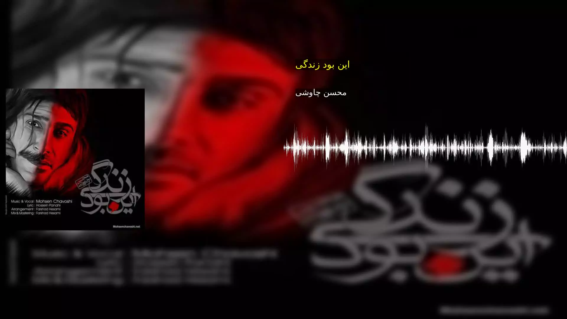 این بود زندگی محسن چاوشی