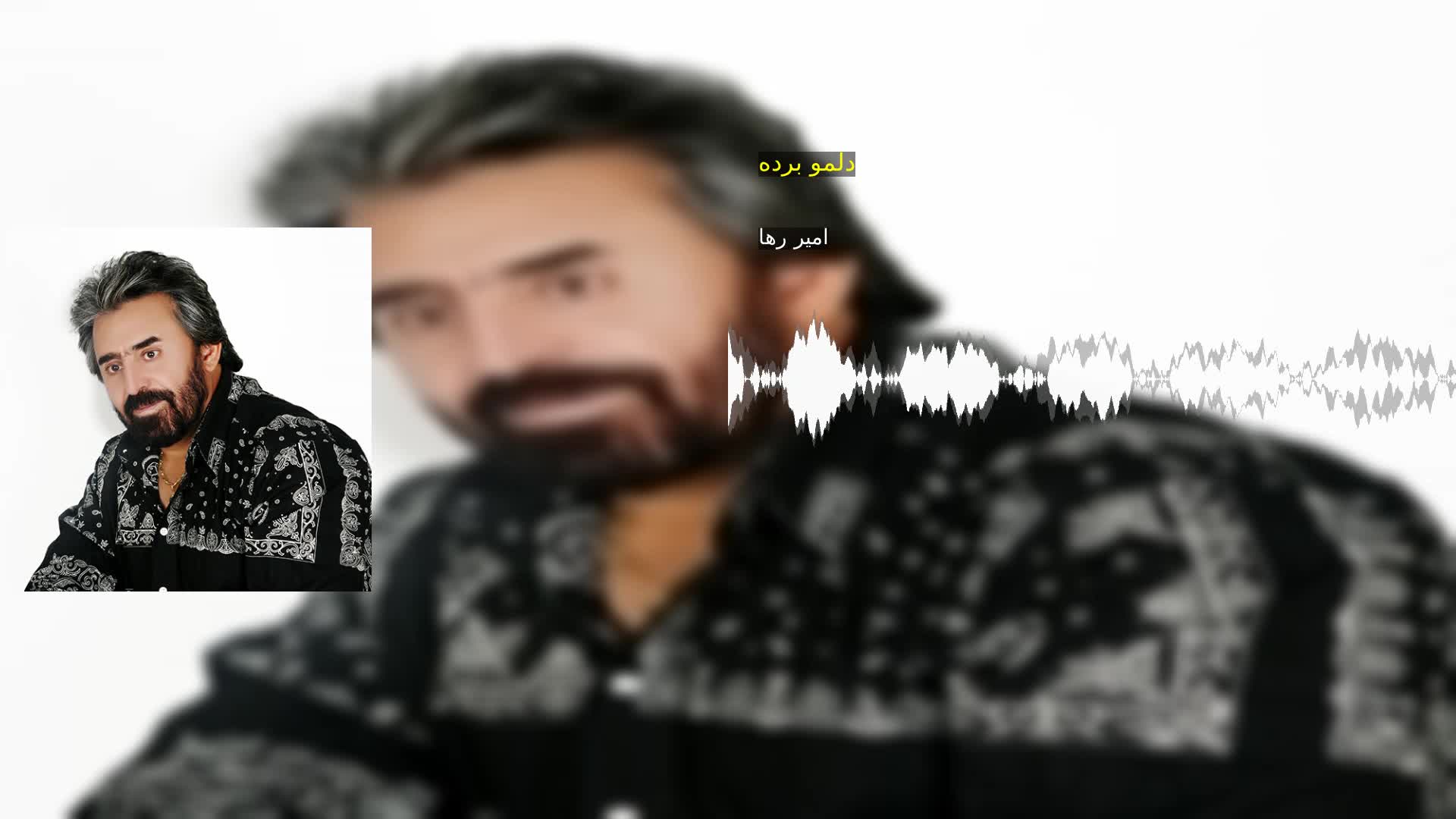 دانلود دلمو برده امیر رها