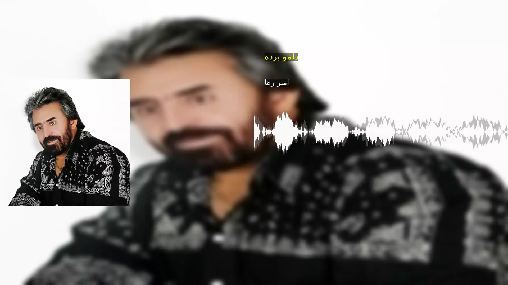 دلمو برده امیر رها