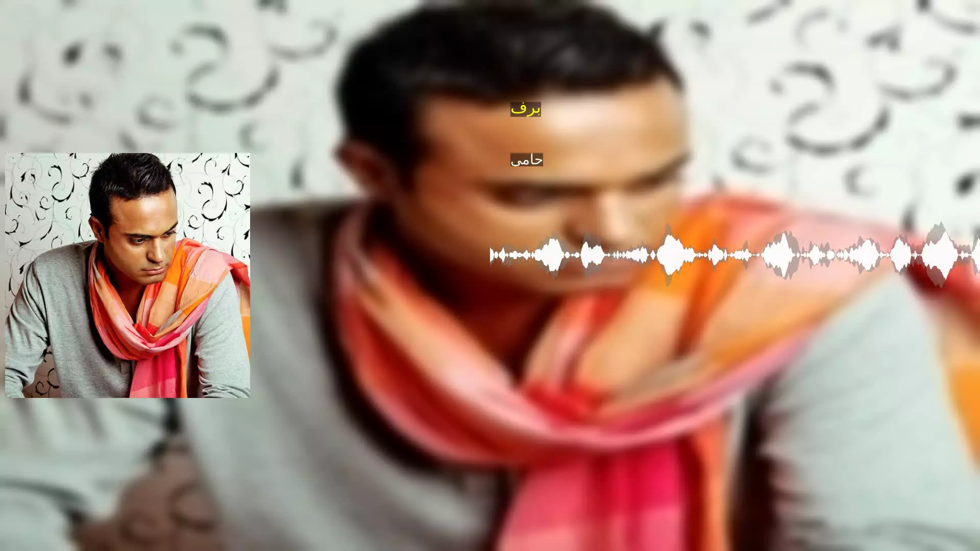 برف حامی