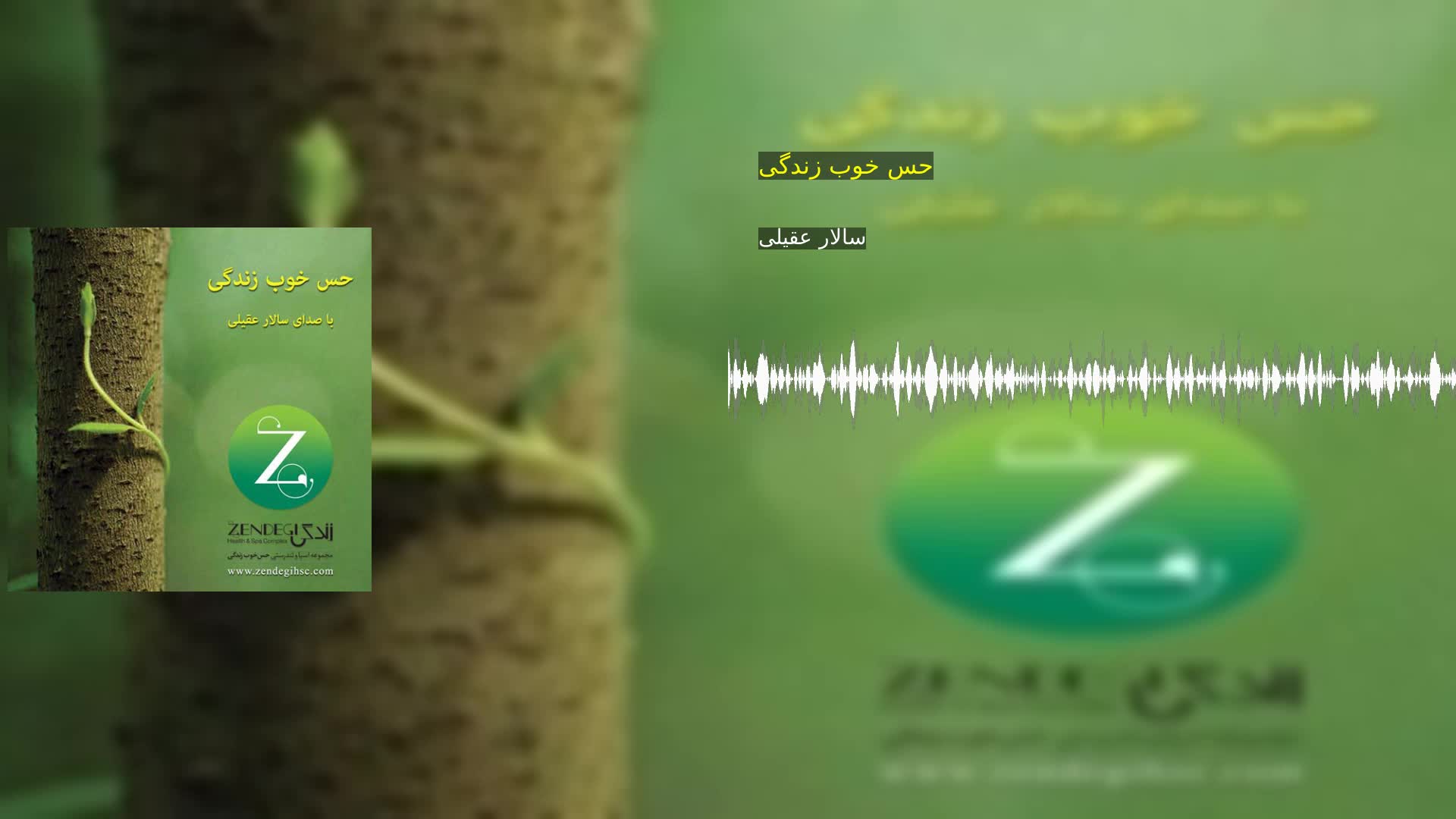 دانلود حس خوب زندگی سالار عقیلی